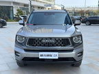 GWM Dargo PLUS 2023 1.5T 2WD Wild Adventure Plus Edition Used Car for Sale in Ghana -u22725749 | ZEEX AUTO