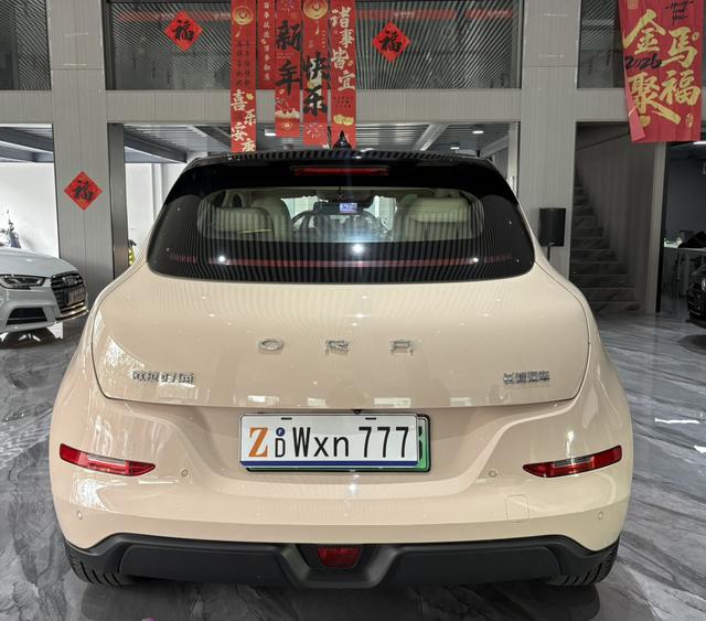 GWM Ora Good Cat 2022 Morandi Edition 400km Standard Range Premium Version (Lithium Iron Phosphate Battery) Used Car for Sale in Ghana -u22761839 | ZEEX AUTO