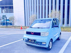 Wuling Hongguang MINIEV 2020 Zizai Edition (Lithium Nickel Cobalt Manganese Battery) -u22218095 | ZEEX AUTO
