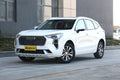 GWM Haval First Love 2021 1.5T Automatic Second Version -u22716538 | ZEEX AUTO