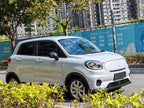 Leapmotor T03 2022 Haoyu Edition -u22204261 | ZEEX AUTO