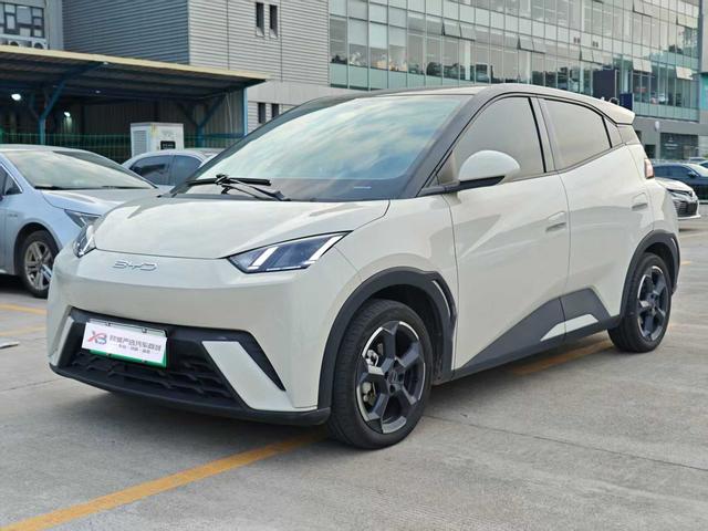 BYD Seagull 2023 Flying Edition -u22836549 | ZEEX AUTO