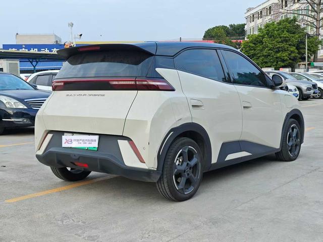 BYD Seagull 2023 Flying Edition -u22836549 | ZEEX AUTO