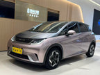 BYD Dolphin 2021 Fashion Edition -u22028690 | ZEEX AUTO