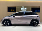 BYD Dolphin 2021 Fashion Edition -u22028690 | ZEEX AUTO