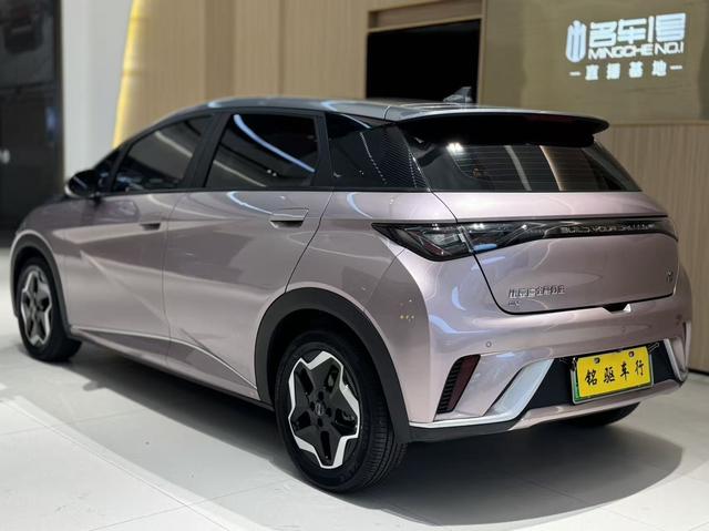 BYD Dolphin 2021 Fashion Edition -u22028690 | ZEEX AUTO