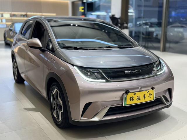 BYD Dolphin 2021 Fashion Edition -u22028690 | ZEEX AUTO