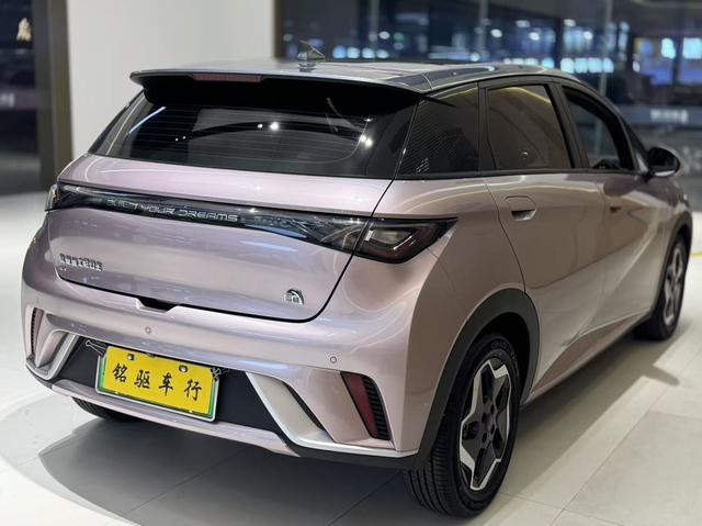 BYD Dolphin 2021 Fashion Edition -u22028690 | ZEEX AUTO
