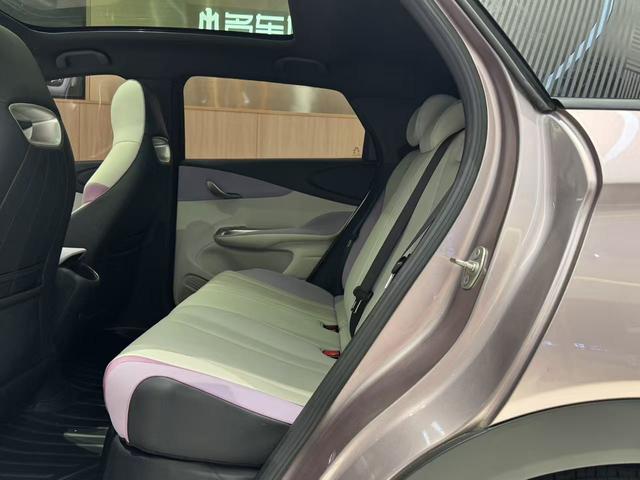 BYD Dolphin 2021 Fashion Edition -u22028690 | ZEEX AUTO