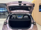 BYD Dolphin 2021 Fashion Edition -u22028690 | ZEEX AUTO