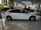 FAW Toyota Corolla 2019 1.2T S-CVT GL Pioneer Edition -u22313169 | ZEEX AUTO