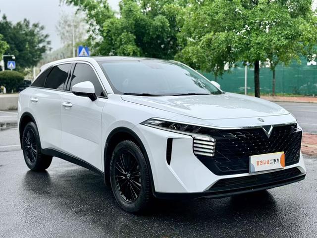 Dongfeng Nissan Venucia Big V 2023 260T Idol Edition Pro -u22893703 | ZEEX AUTO