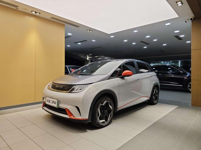 BYD Dolphin 2021 Freedom Version -u22733335 | ZEEX AUTO