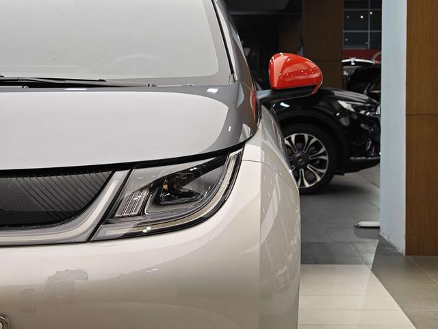 BYD Dolphin 2021 Freedom Version -u22733335 | ZEEX AUTO
