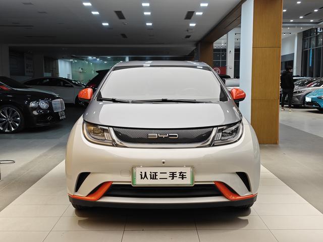 BYD Dolphin 2021 Freedom Version -u22733335 | ZEEX AUTO