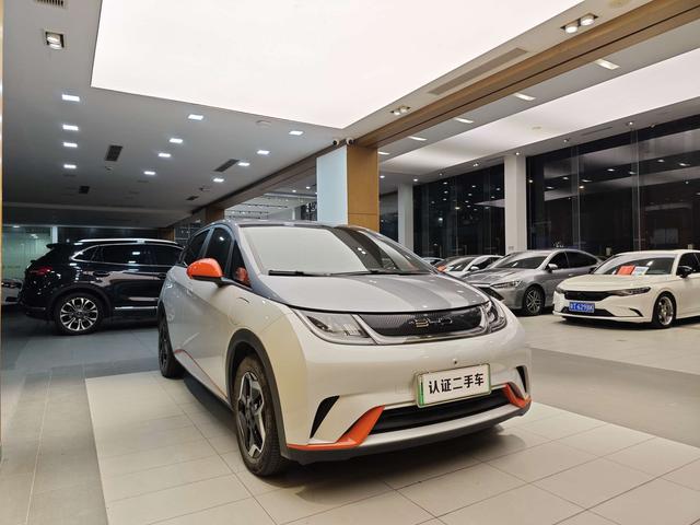 BYD Dolphin 2021 Freedom Version -u22733335 | ZEEX AUTO