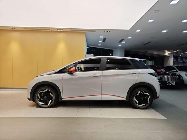 BYD Dolphin 2021 Freedom Version -u22733335 | ZEEX AUTO