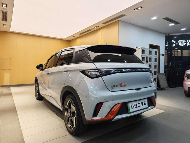 BYD Dolphin 2021 Freedom Version -u22733335 | ZEEX AUTO