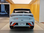 BYD Dolphin 2021 Freedom Version -u22733335 | ZEEX AUTO