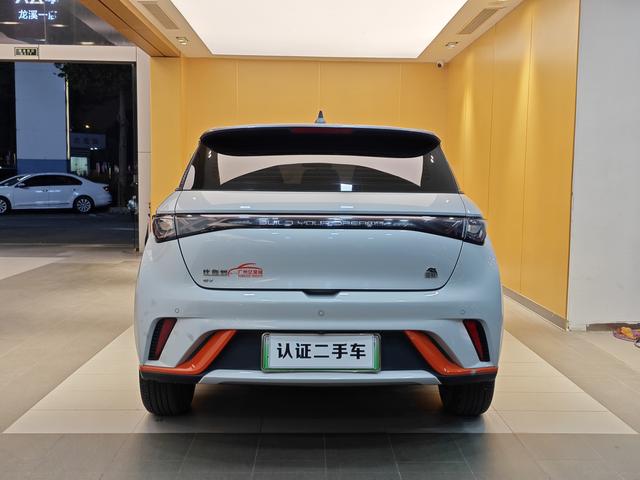 BYD Dolphin 2021 Freedom Version -u22733335 | ZEEX AUTO