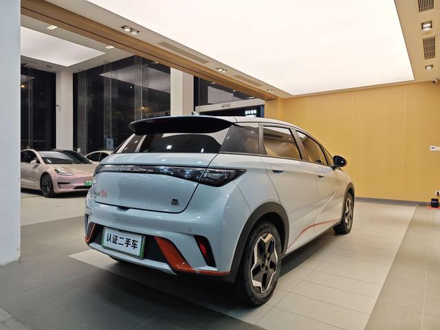 BYD Dolphin 2021 Freedom Version -u22733335 | ZEEX AUTO