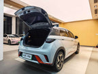 BYD Dolphin 2021 Freedom Version -u22733335 | ZEEX AUTO
