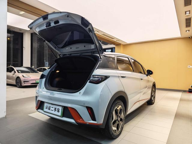 BYD Dolphin 2021 Freedom Version -u22733335 | ZEEX AUTO