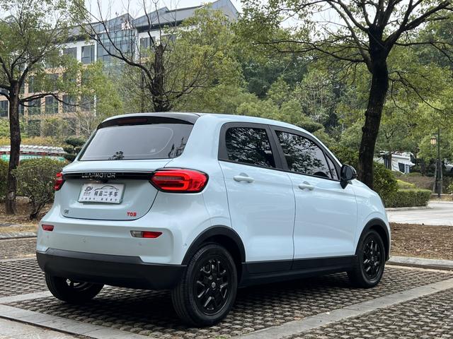 Leapmotor T03 2023 403 Zhixiang Edition -u22633131 | ZEEX AUTO