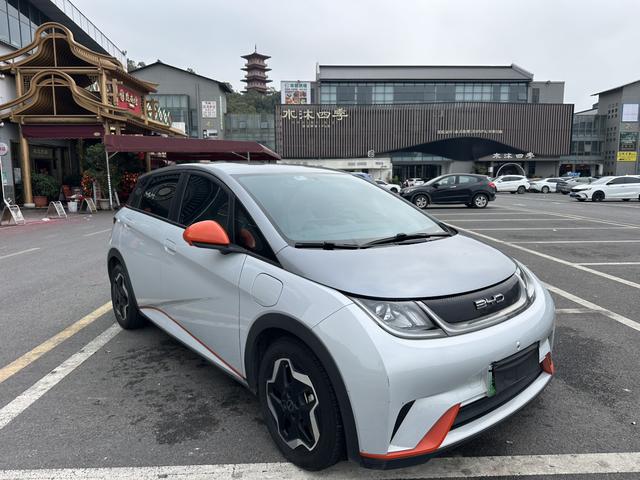 BYD Dolphin 2021 Fashion Edition -u22869689 | ZEEX AUTO