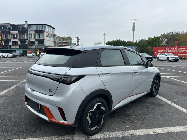BYD Dolphin 2021 Fashion Edition -u22869689 | ZEEX AUTO