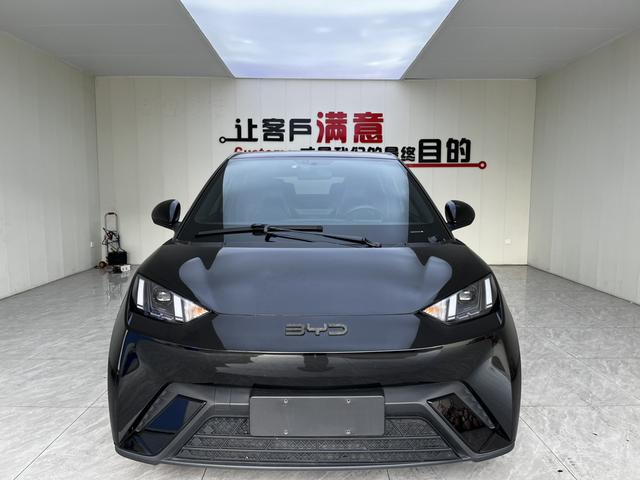 BYD Seagull 2024 Beige Edition 405KM Flying Version -u22690124 | ZEEX AUTO
