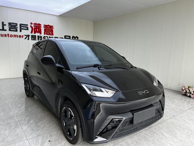 BYD Seagull 2024 Beige Edition 405KM Flying Version -u22690124 | ZEEX AUTO